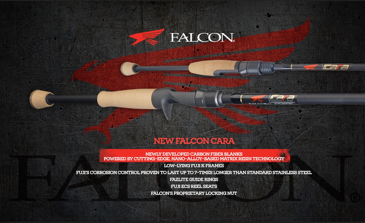 Falcon Cara spinning - Negozio di pesca online Bass Store Italy